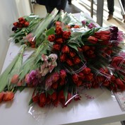 Международный женский день 2019